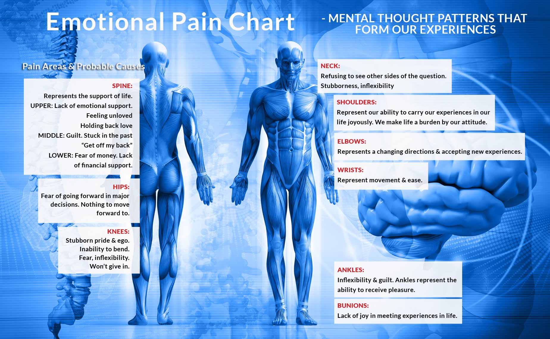 Emotional Body Chart